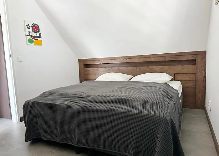 Дом отдыха 77 Op Recreatiepark De Wielen Синт-Мартен