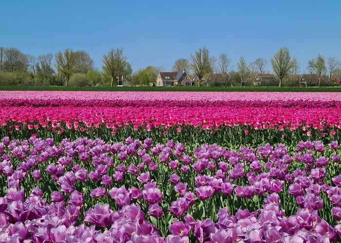 Дом отдыха 77 Op Recreatiepark De Wielen